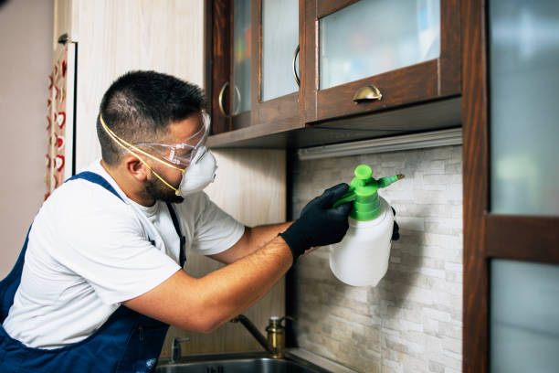 Professional Pest Control in Double Springs, AL