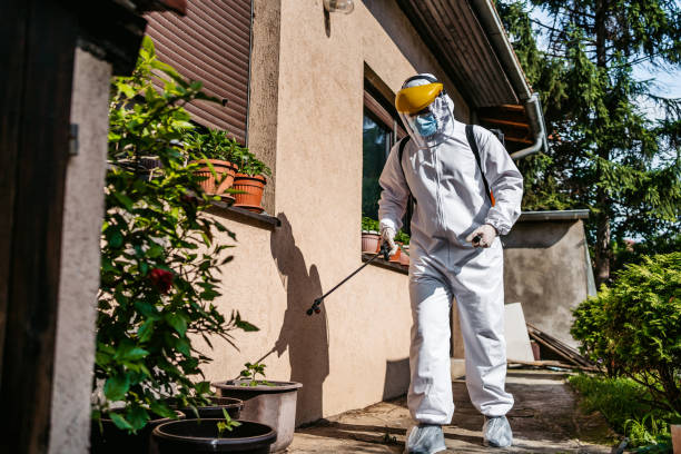 Best Pest Removal Services  in Double Springs, AL