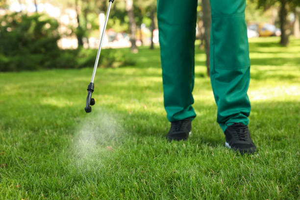 Best Pest Inspection Near Me  in Double Springs, AL