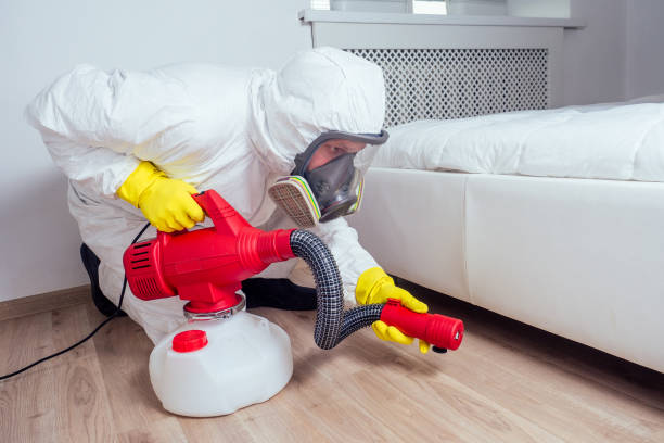 Best Mosquito Control Services  in Double Springs, AL