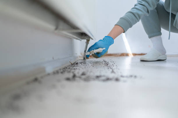 Best Residential Pest Control  in Double Springs, AL